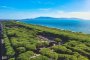 Golfo Degli Etruschi Village - Albinia Toscana