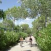 Pista ciclabile con tre persone in bicicletta, circondata da alberi e siepi.