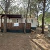 Bungalow con veranda coperta in legno tra alberi alti. Ambiente naturale e ombreggiato.
