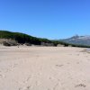 Spiaggia sabbiosa con vegetazione verde e montagne sullo sfondo.