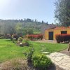 Sentiero e giardino con alberi e arbusti.