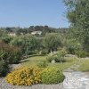 Giardino con sentiero in pietra e piante rigogliose.