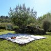 Coperta da picnic su prato con libro e frutta.