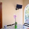 Tavolo sotto un portico con una pianta e un piccolo schermo.