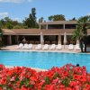 Piscina con fiori rossi e lettini bianchi.