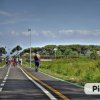 Una pista ciclabile con persone che camminano e vanno in bicicletta.
