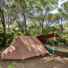 Tenda marrone sotto pini in un'area boschiva.