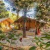Tende glamping tra gli alberi.