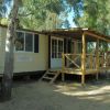 Casa mobile con veranda in legno, circondata da alberi.