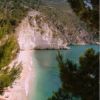 Spiaggia con scogliere bianche e mare verde smeraldo, circondata da pini.