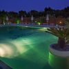 Piscina illuminata di notte con piante verdi.