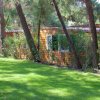 Bungalow in legno tra alberi.