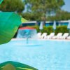 Foglia verde davanti a una piscina sfocata.