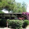 Casa tra alberi con fiori viola.