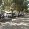 Camper allineati in una zona ombreggiata da alberi.