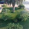 Un giardino curato con palme e cespugli, visto dall'alto.