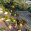 Un patio con vasi di piante e fiori, contornato da cespugli e alberi.