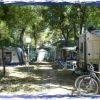 Campeggi con roulotte e biciclette parcheggiate sotto alberi ombrosi.