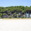 Spiaggia con alberi sullo sfondo.