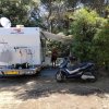 Camper e motorino accampati tra alberi.