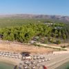 Spiaggia con ombrelloni, pineta e campi coltivati sullo sfondo.