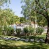 Giardino con alberi e vialetto in pietra.