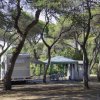 Camper e tenda tra alberi in un'area camping.