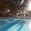 Piscina all'aperto circondata da alberi e lettini.