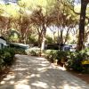 Camping Village Il Sole (GR) Toscana