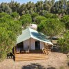 Tenda glamping tra alberi su una piattaforma di legno.