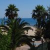 Palme e vista sul mare oltre la spiaggia.