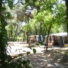 Piomboni Camping Village (RA) Emilia Romagna