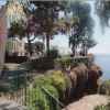 Sentiero alberato su una scogliera con vista sul mare.