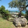 Vista mare con alberi e recinzione in legno.