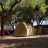Campeggio immerso tra grandi alberi ombrosi con tende colorate.