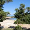 Spiaggia nascosta tra alberi e cespugli.