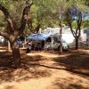 Camper sotto alberi in un'area di campeggio ombreggiata.