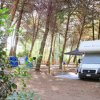 Camper parcheggiato tra gli alberi.
