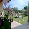 Fiori rosa in primo piano, con vista su un giardino e due lettini da sole.