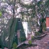 Case verdi a forma triangolare allineate lungo un sentiero pavimentato, circondate da alberi.