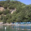Spiaggia con ombrelloni blu disposti fronte a una scogliera verdeggiante.