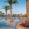 Piscina circondata da palme e aiuole fiorite.