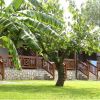 Vista su bungalow in pietra e legno, con un albero di banane e prato verde davanti.