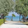 Sentiero tra alberi e siepi che conduce a una spiaggia con mare azzurro.