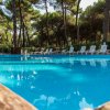 Piscina all'aperto con sedie a sdraio, circondata da alberi.