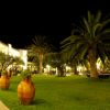Giardino illuminato di notte con palme e vasi decorativi.