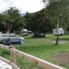 Campeggio erboso con tende, auto e roulotte tra alberi verdi.
