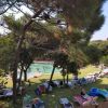 Una piscina con persone che nuotano e si rilassano su lettini sotto gli alberi.
