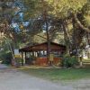 Edificio di legno tra alberi, su un vialetto erboso.