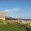 Spiaggia con vegetazione costiera e un cielo sereno.